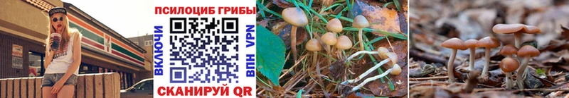 Псилоцибиновые грибы прущие грибы  Курск 